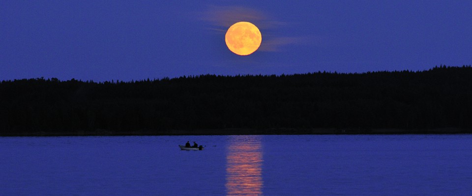 Midsummer Moonrise in Vaermland